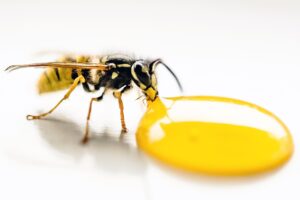 医療脱毛当日に飲酒してもいいの？