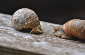 医療脱毛施術後にしてはいけないことは？