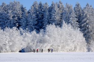 VIO脱毛後の冬におすすめの保湿方法は？