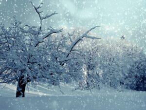 冬に医療脱毛をおすすめする理由はなぜ？