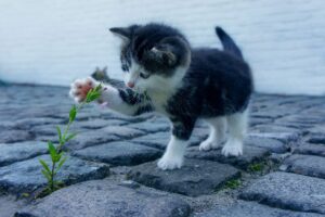 脱毛後の毛穴の赤みを消すためのコツは？