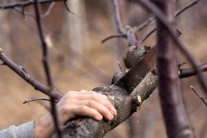 脱毛による肌荒れを体質改善するための方法は？