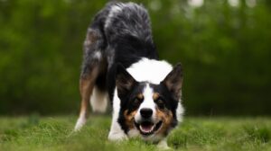 脱毛前にカミソリを使うのはNGな理由とは？