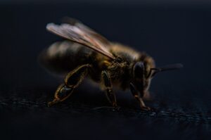 脱毛未経験でも大丈夫？初めての人が知っておくべきポイントは何？